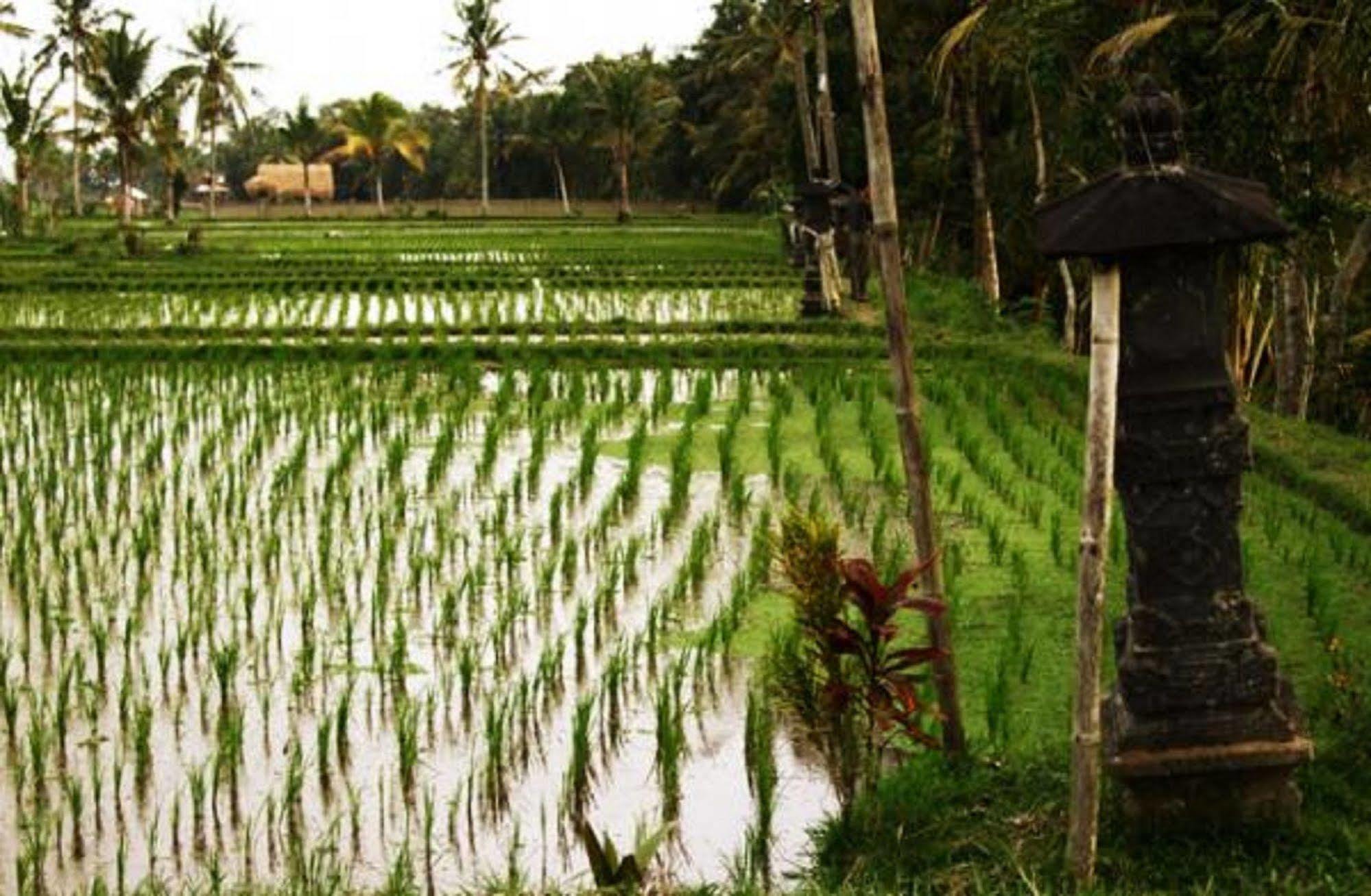 Puri Lotus Hotel Ubud  Luaran gambar