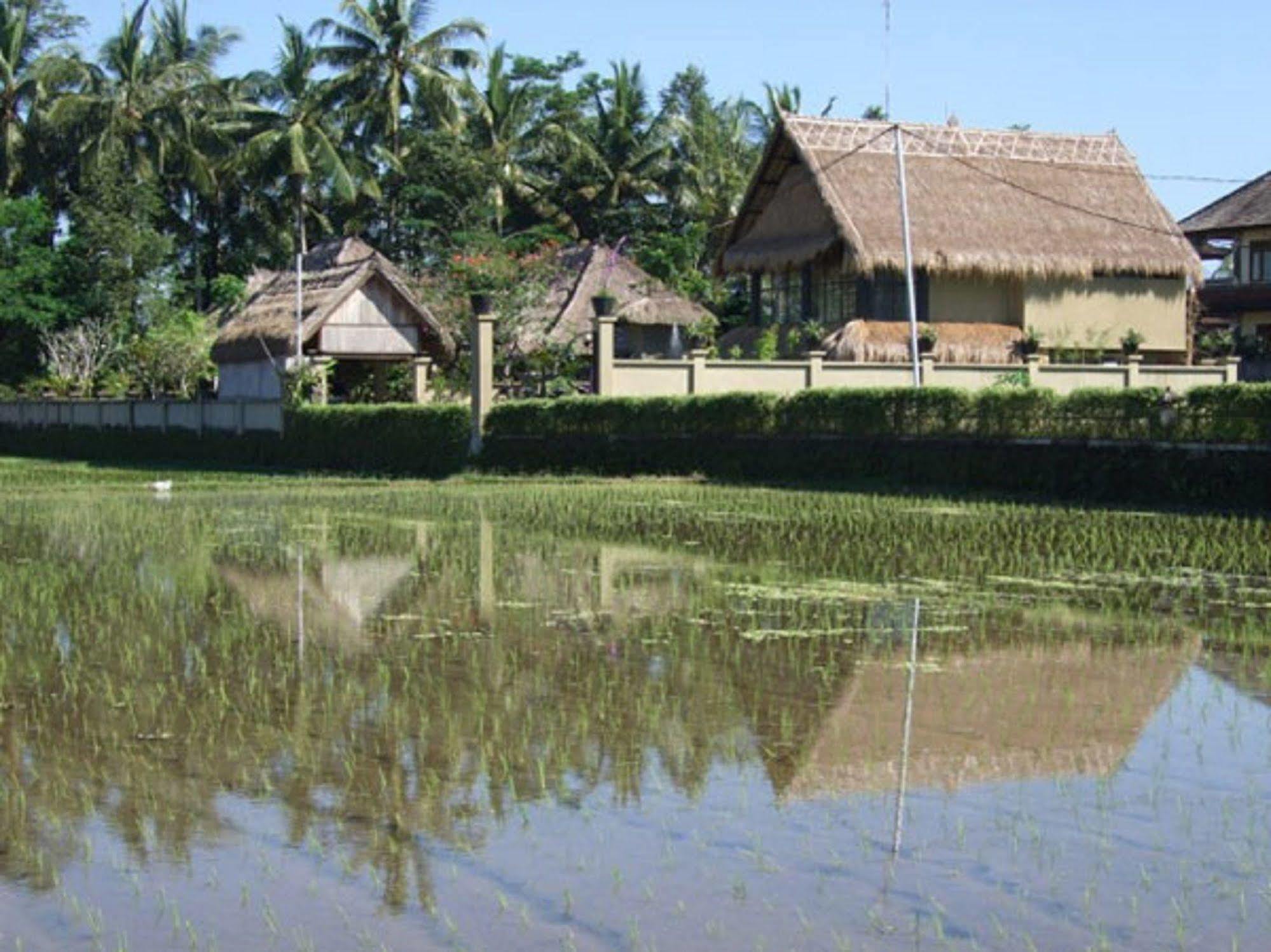 Puri Lotus Hotel Ubud  Luaran gambar