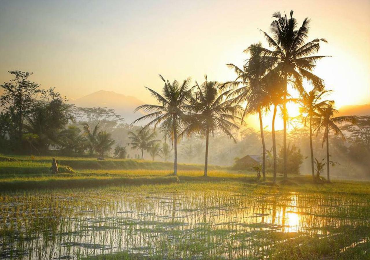 Puri Lotus Hotel Ubud  Luaran gambar